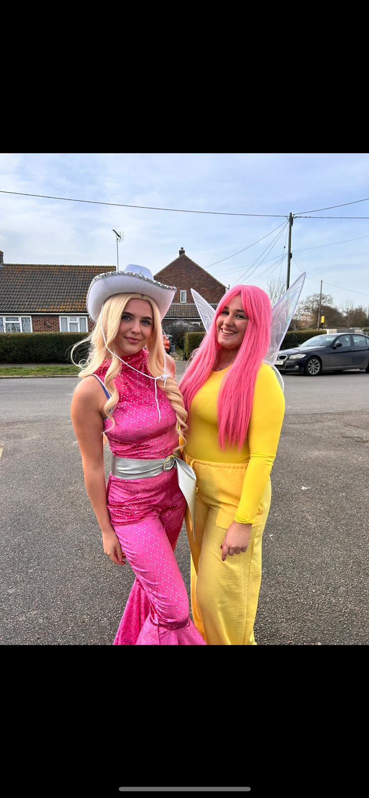 Professional Entertainers